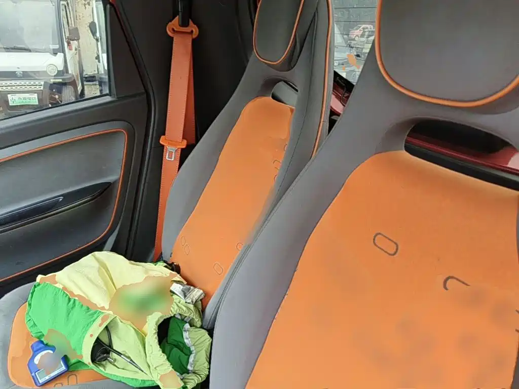 Baojun E100 2021 2020 305KM Intelligent Edition