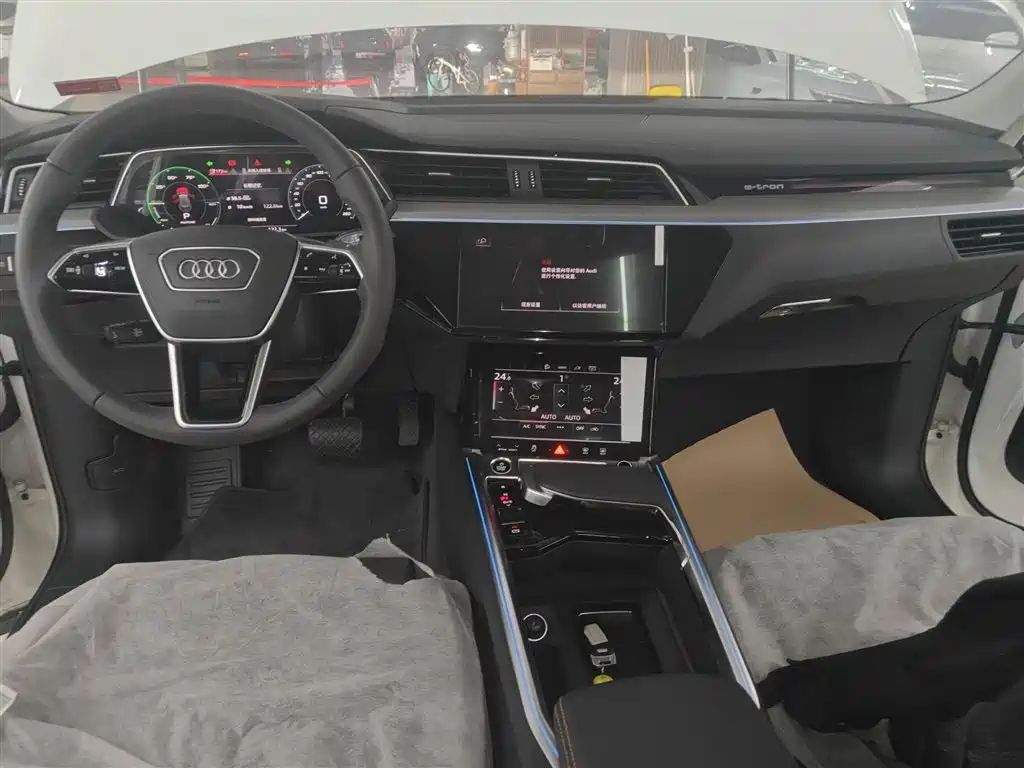 Audi e-tron 2021 50 quattro Luxury фото 10