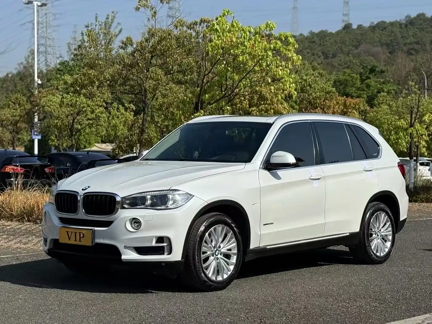 BMW X5 (Import) 2014 xDrive35i Luxury