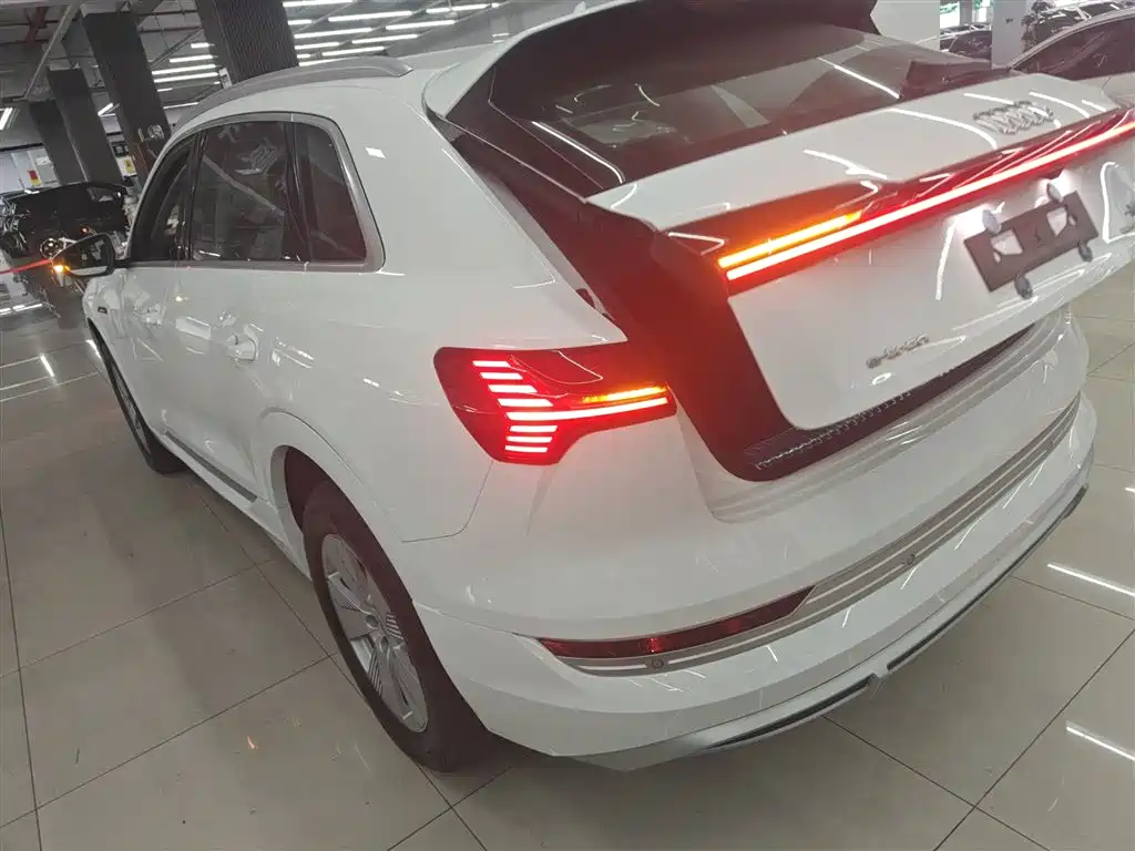 Audi e-tron 2021 50 quattro Luxury фото 5