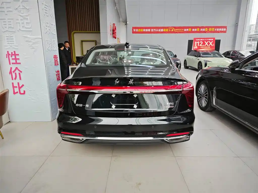 Hongqi H5 2025 2.0T Automatic Flag Celebration 500,000 Units Anniversary Edition фото 16