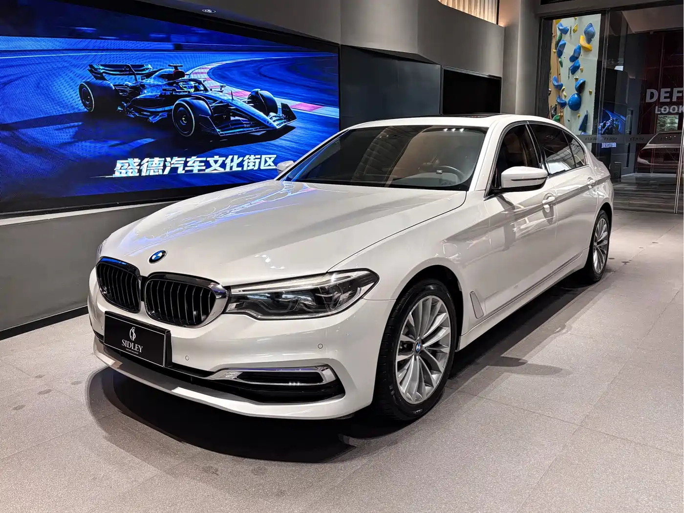 BMW 5 Series 2020 530Li xDrive Luxury Package