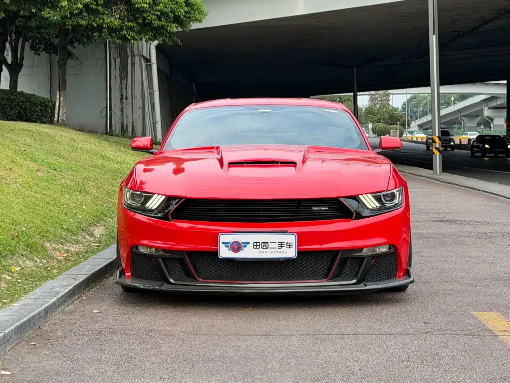 Saleen Mustang 2019 2015 5.0T Titanium