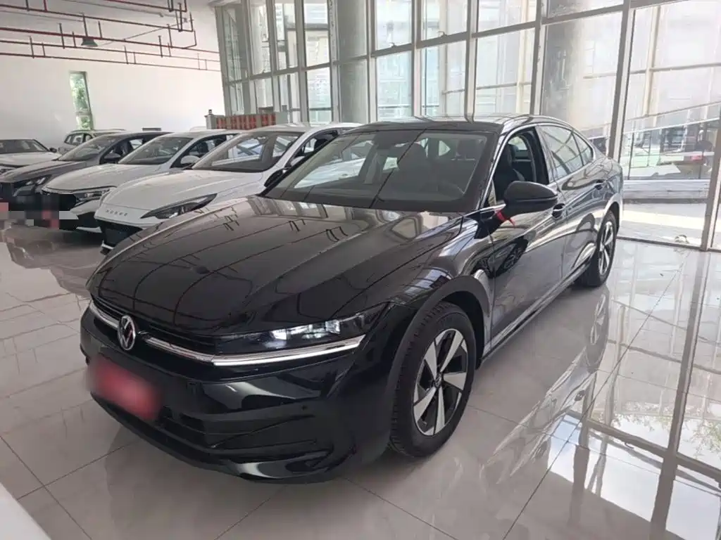Volkswagen Magotan, миниатюра 2