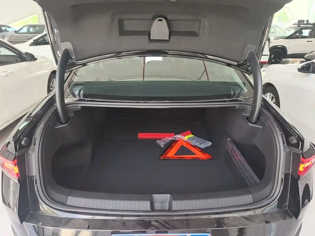 Volkswagen Magotan, миниатюра 15