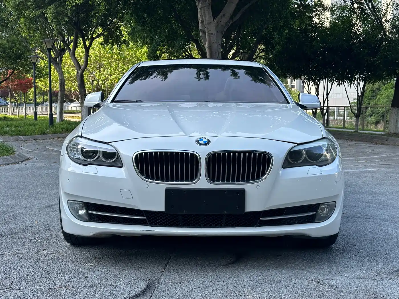 BMW 5 Series 2011 535Li Luxury фото 2