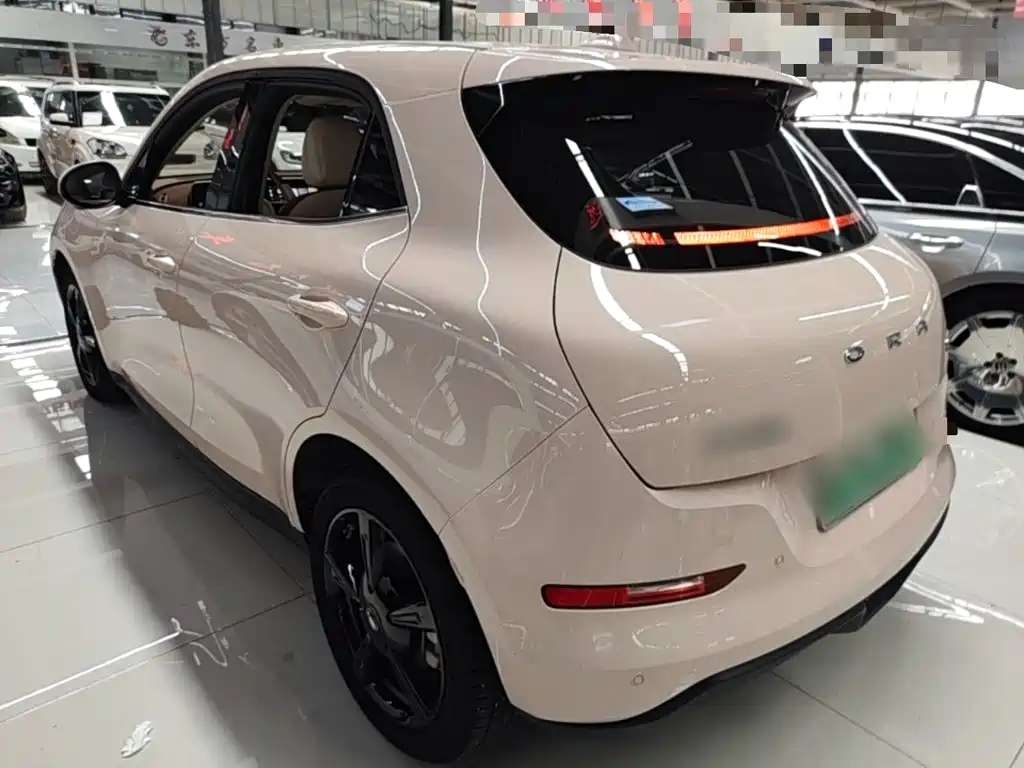 Ora Good Cat 2025 2024 401km Luxury