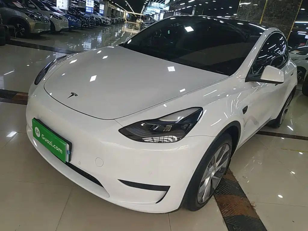 Tesla Model Y 2022 Rear-Wheel Drive Version