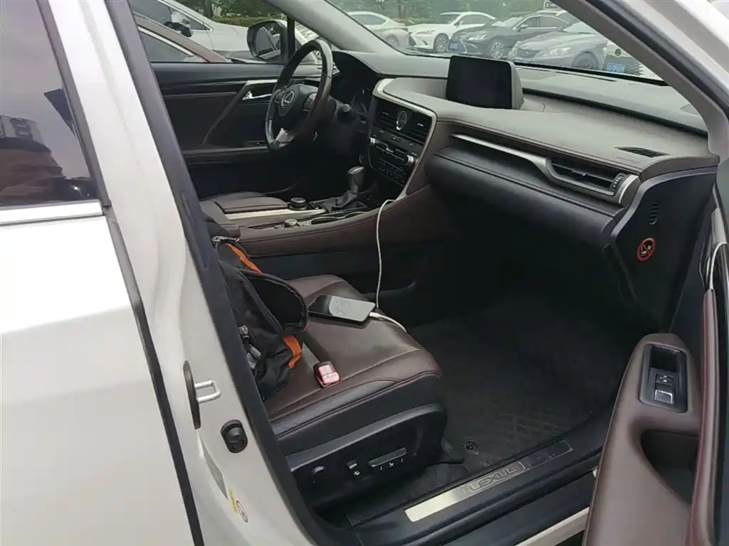 Lexus RX 2016 300 4WD Elegance Edition (China V) фото 25