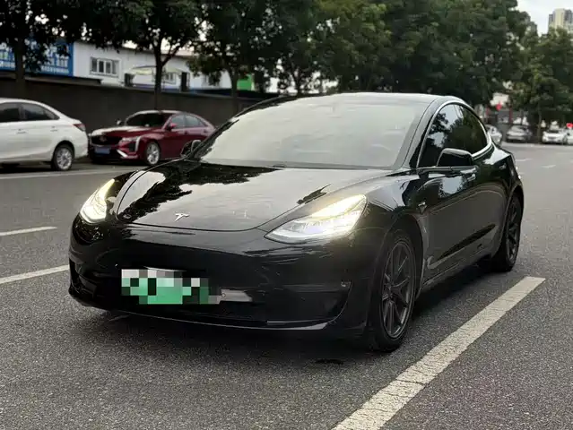 Tesla Model 3 2020 Facelift Long Range Rear-Wheel Drive