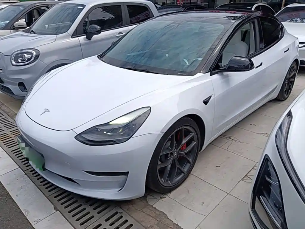 Tesla Model 3 2021 Performance High-Performance All-Wheel Drive