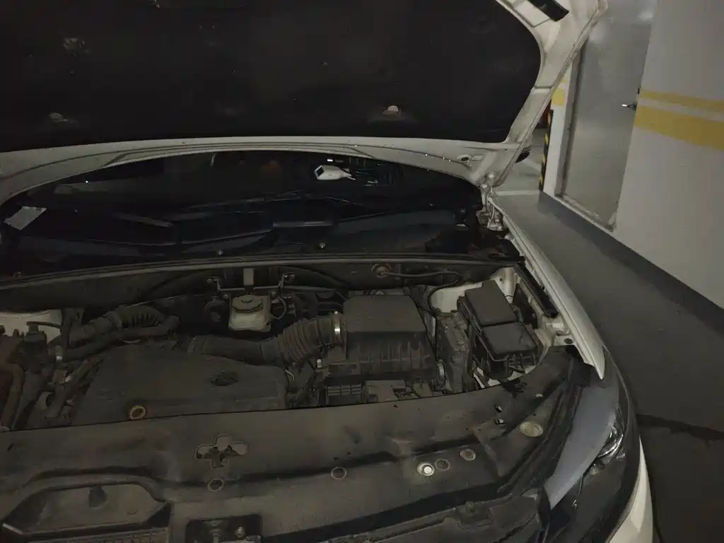 BYD S7 2015 2015 2.0T Automatic Premium