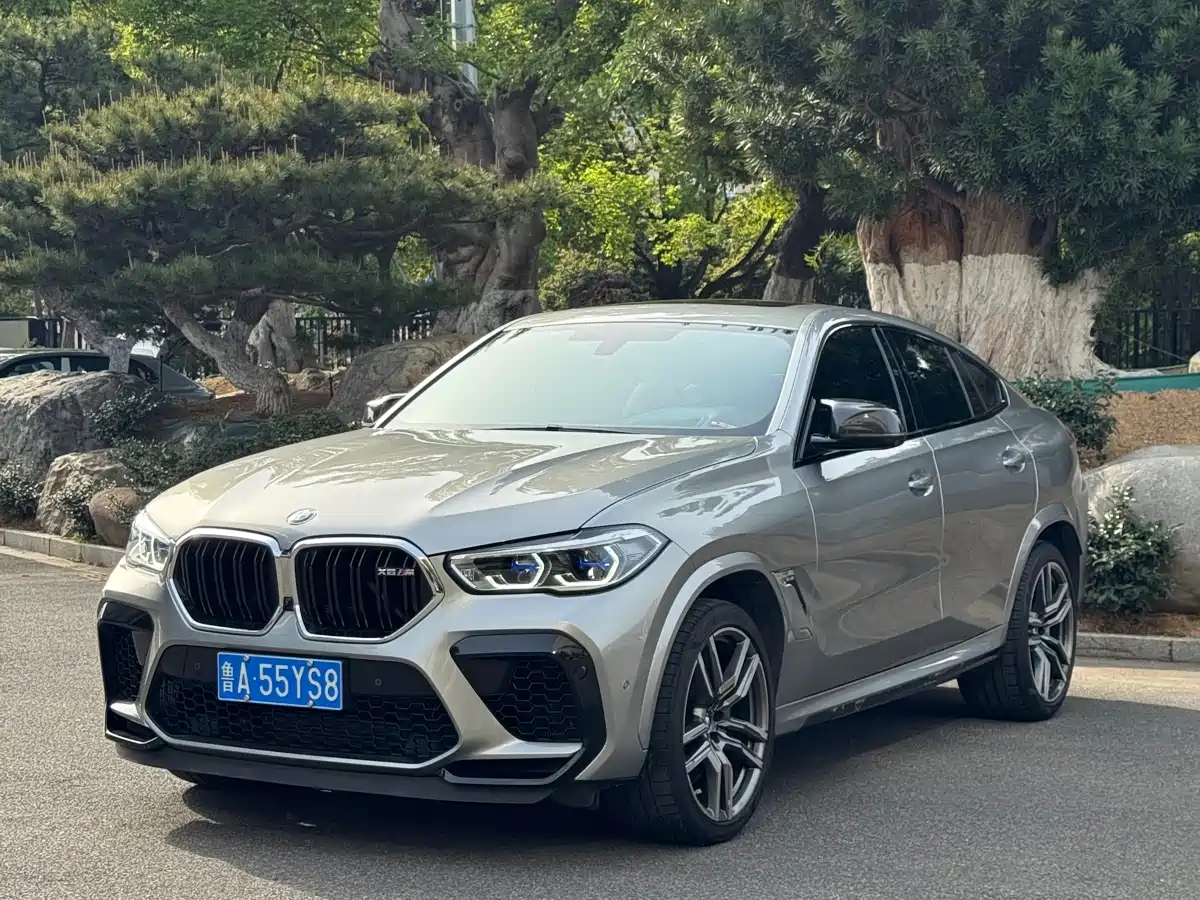 BMW X6 M