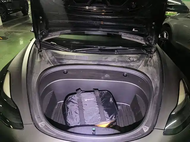 Tesla Model 3 2021 Standard Range Rear-Wheel Drive Upgrade 3D6 — фото 3