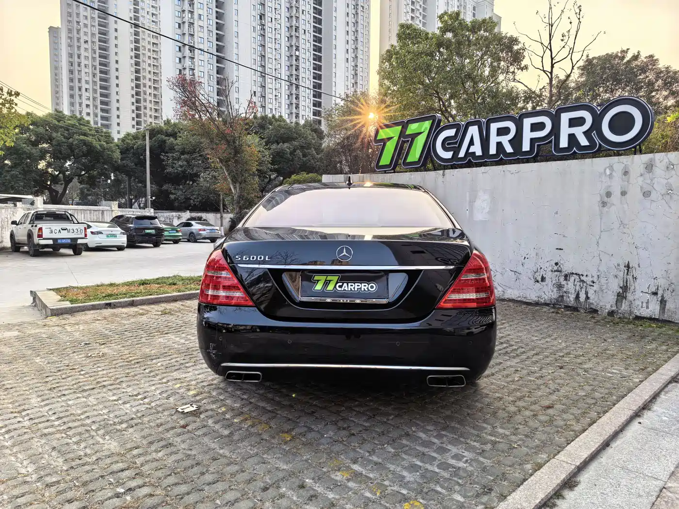 Mercedes-Benz S-Class 2010 S 600 L фото 11