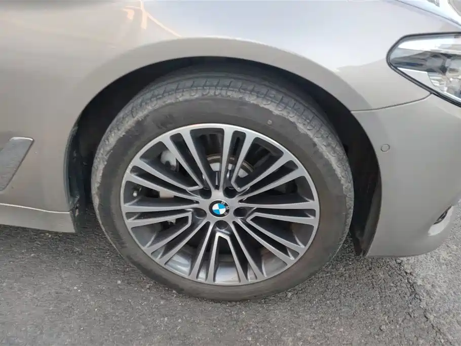 BMW 5 Series 2019 530Li Premium Luxury Package фото 6