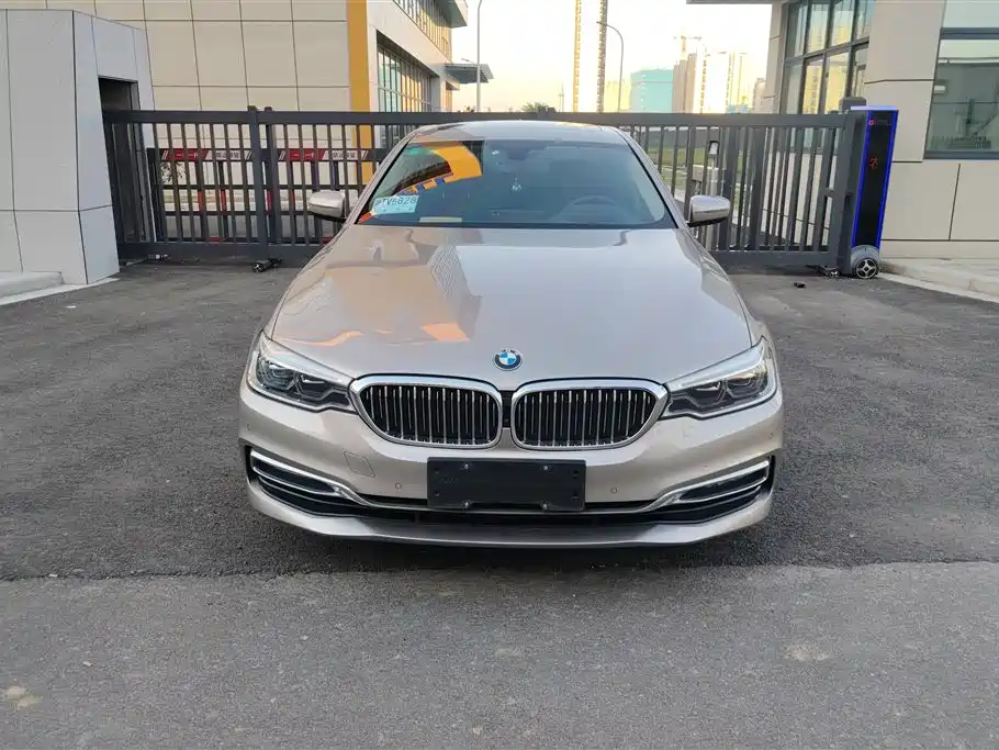 BMW 5 Series 2019 530Li Premium Luxury Package фото 2