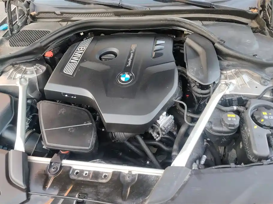 BMW 5 Series 2019 530Li Premium Luxury Package фото 10