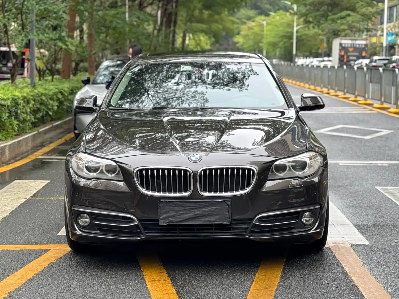 BMW 5 Series 2014 525Li Luxury Design Package фото 2