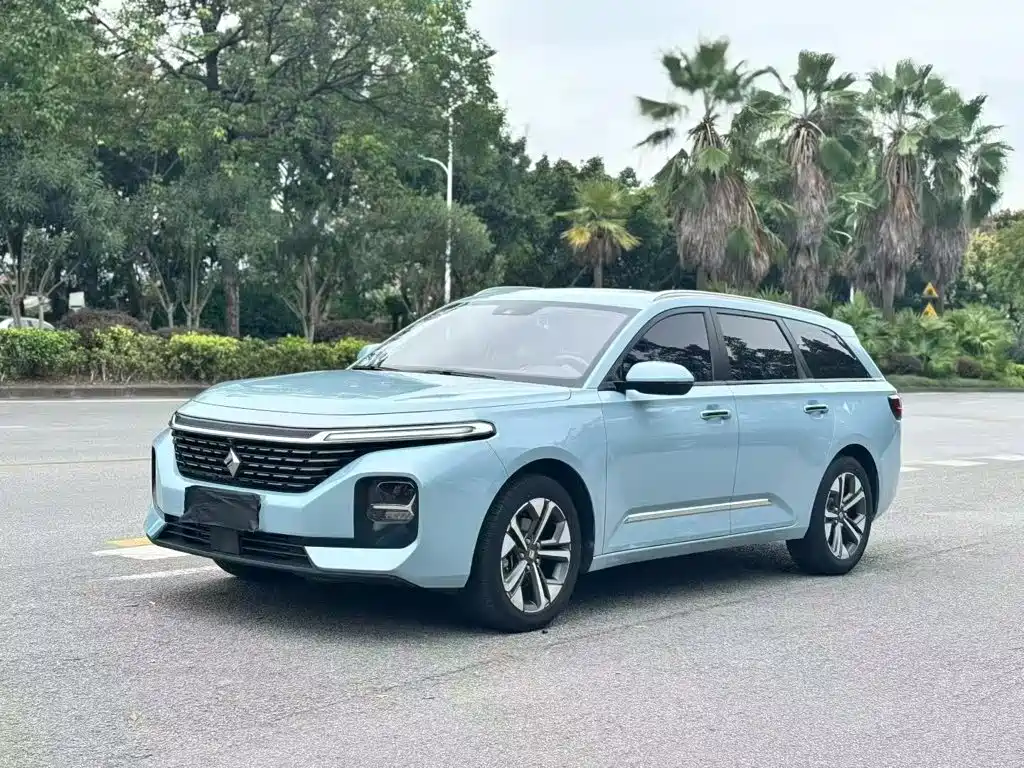 Baojun Valli 2021 2021 1.5T Nagqu Starry Sky CVT Flagship Model