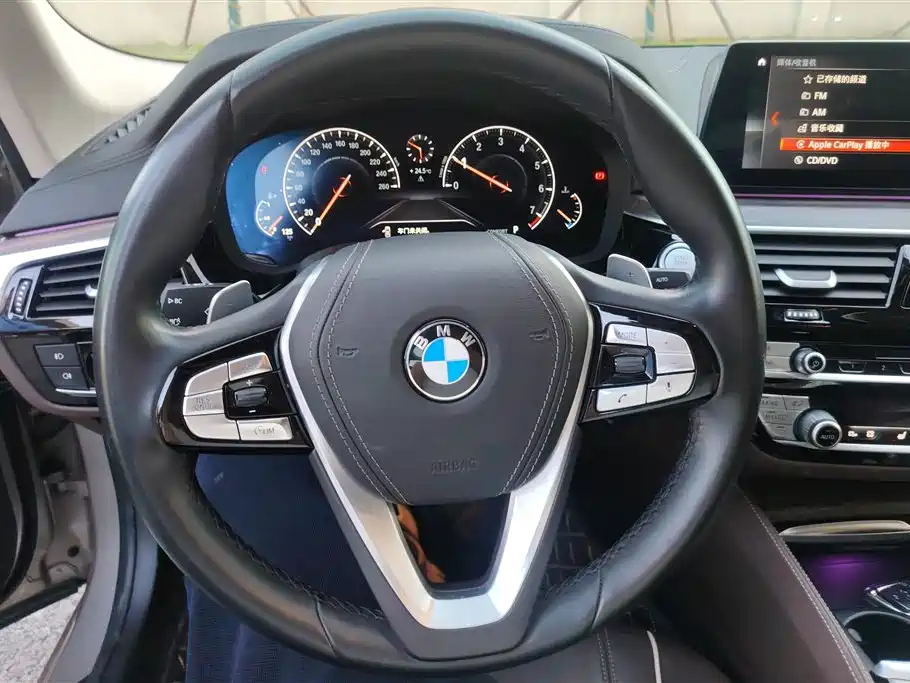 BMW 5 Series 2019 530Li Premium Luxury Package фото 14