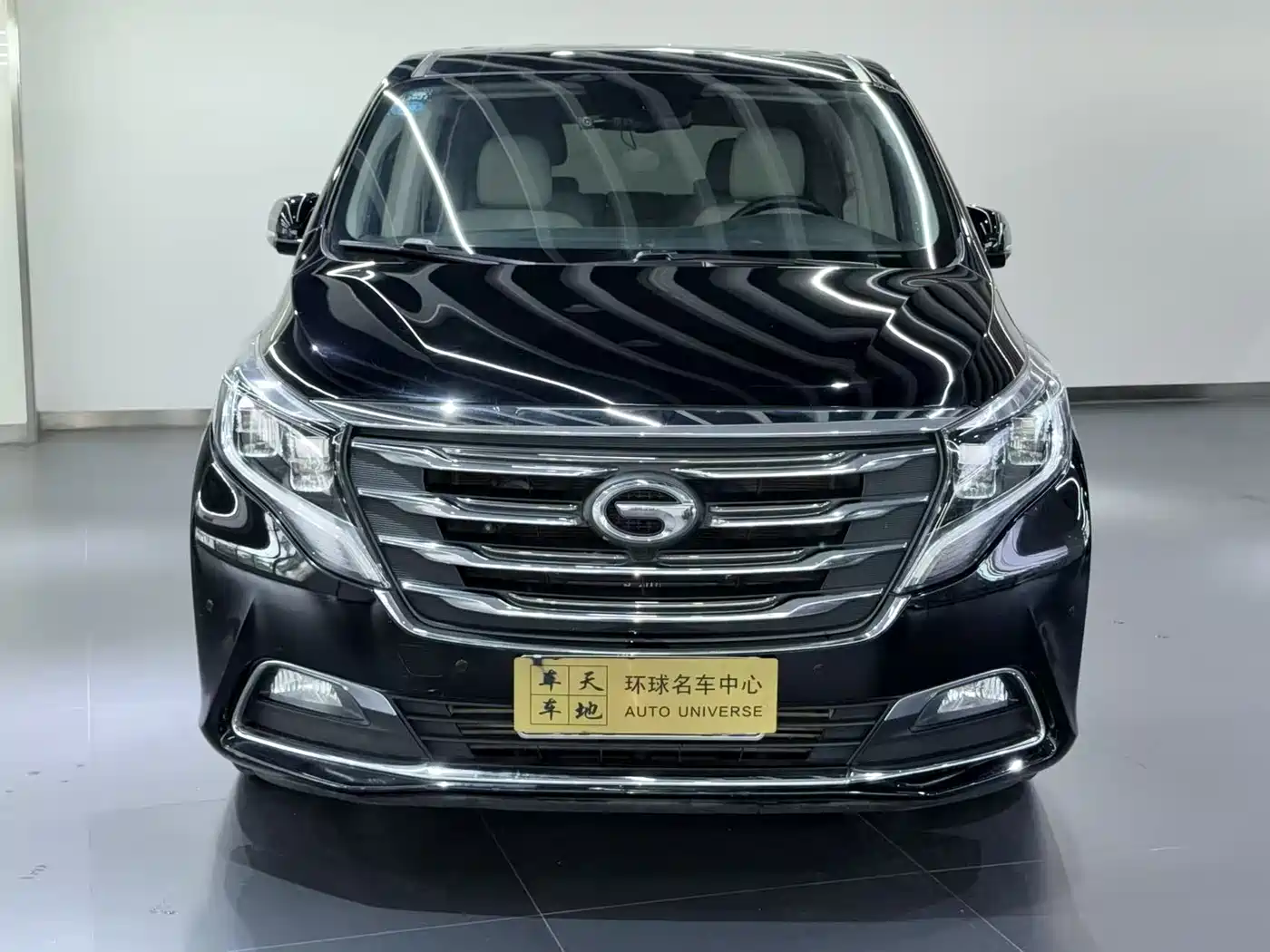 GAC Trumpchi Trumpchi M8 2018 320T Premium Edition фото 2