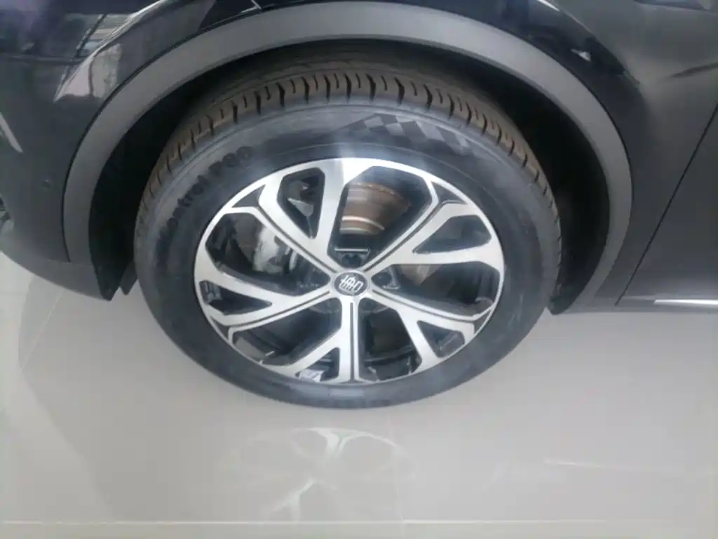 BYD Tang New Energy 2025 2025 Smart Driving Edition DM-i 115KM Flagship