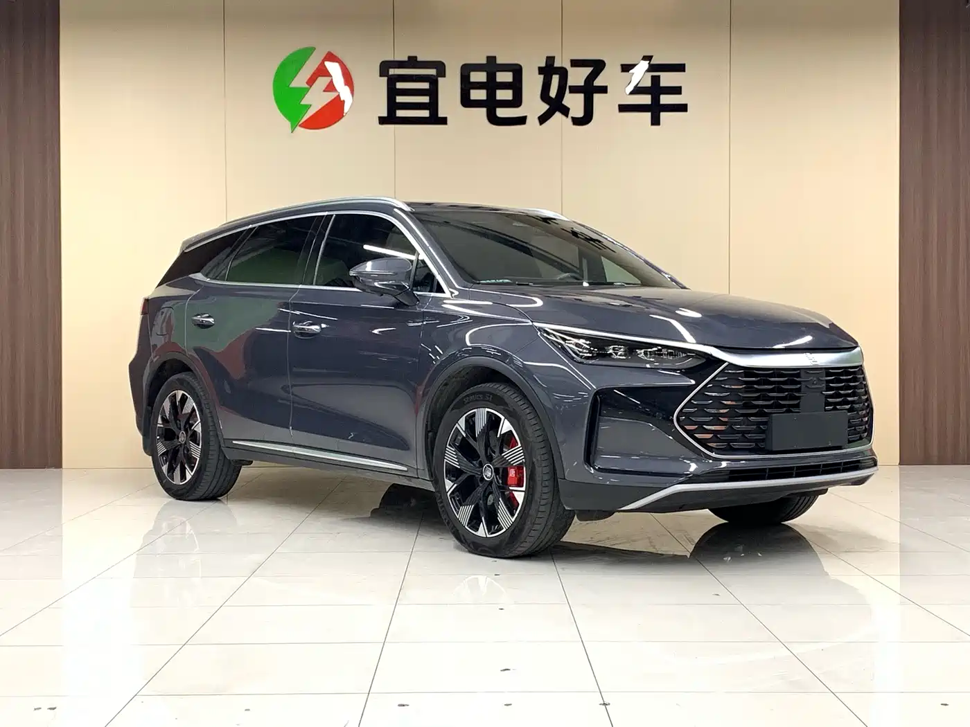 BYD Tang New Energy 2024 DM-p Champion Edition 215KM AWD Flagship фото 3