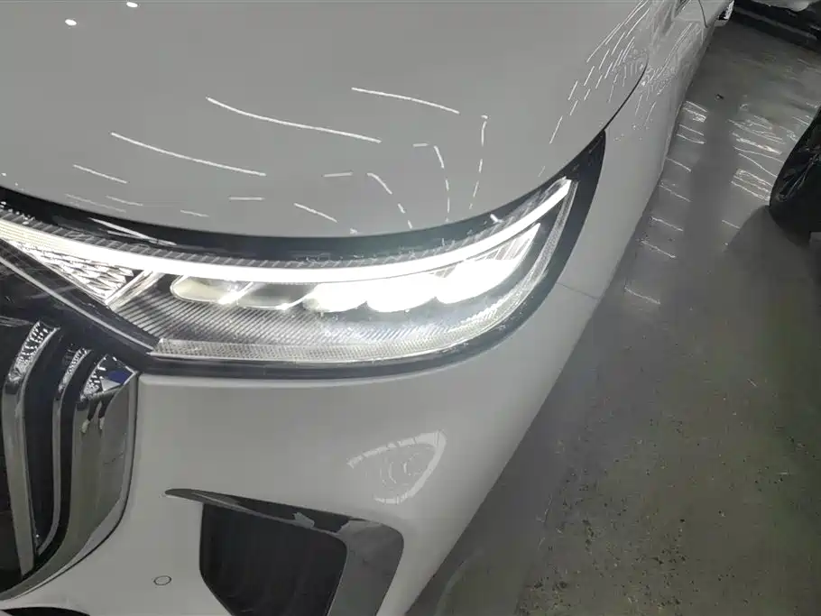 Voyah Auto Voyah Dreamer 2024 PHEV Extended Range Flagship Edition фото 5