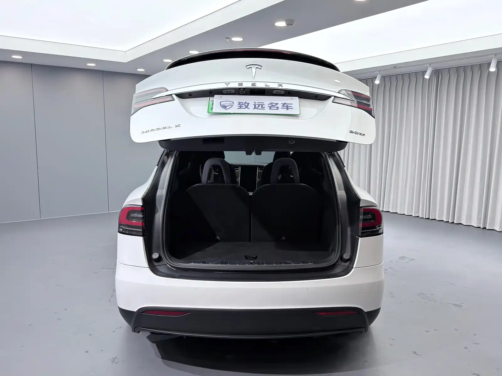 Фото 18 - Tesla Model X