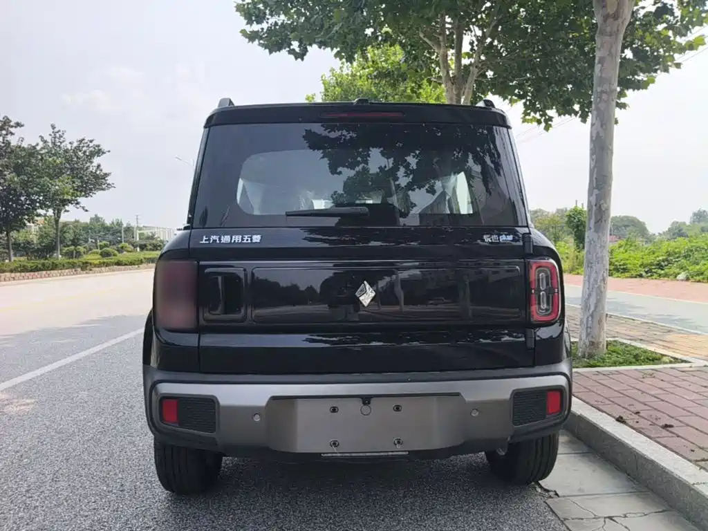 Baojun Yueye Plus 2026 2026 301km Flagship