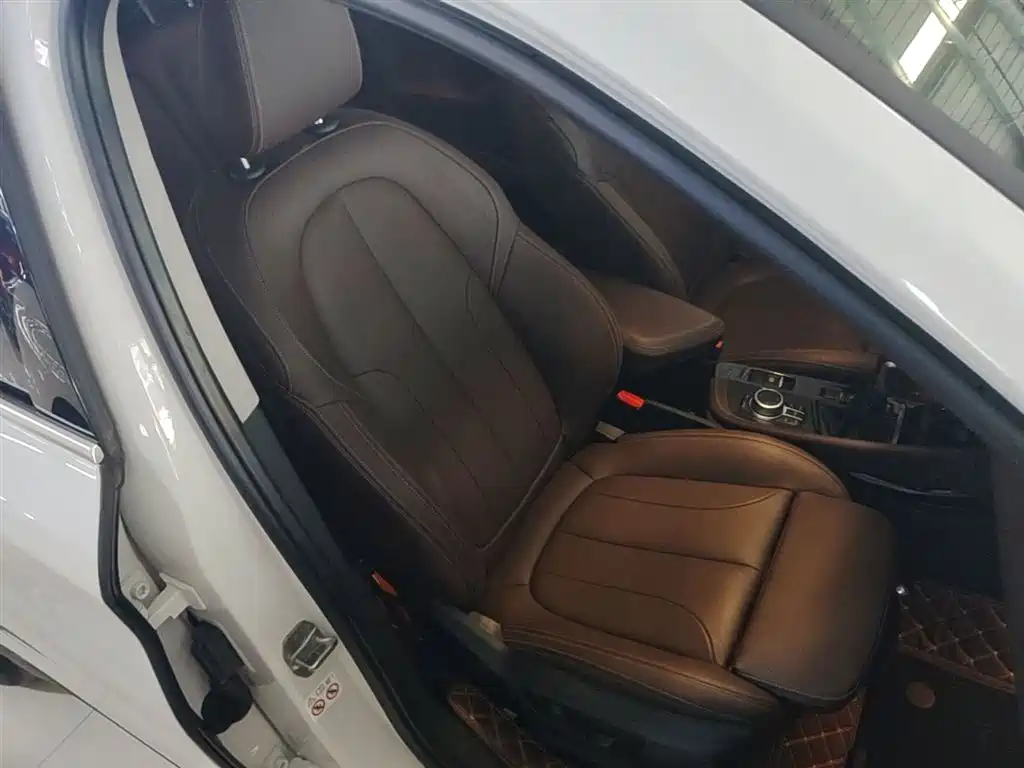 BMW X1 New Energy 2019 xDrive25Le Range Upgrade Edition фото 25