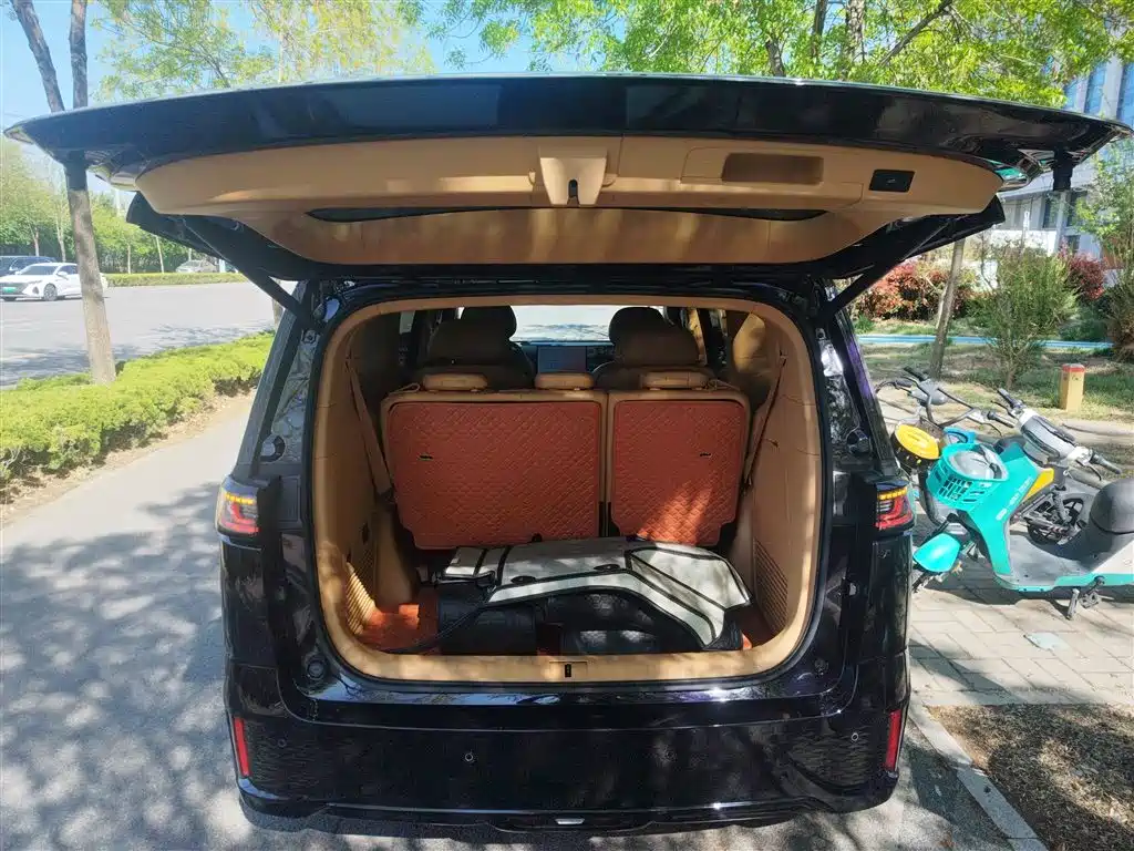 Voyah Auto Voyah Dreamer 2025 PHEV AWD Flagship Kunpeng Edition фото 15
