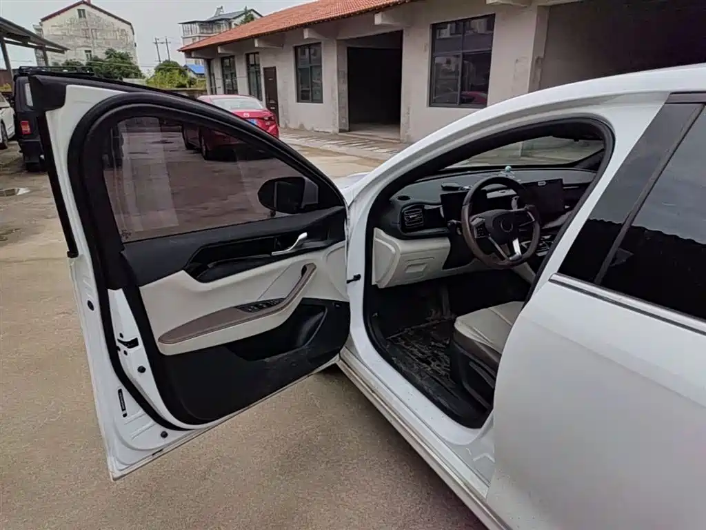 BYD Qin PLUS 2023 Champion Edition DM-i 55KM Leading фото 16