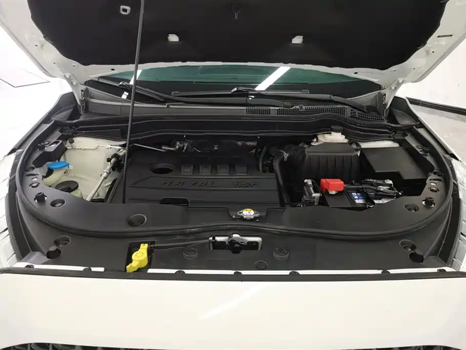 Haval M6 2019 1.5T DCT 2WD Value Edition (China VI) фото 10