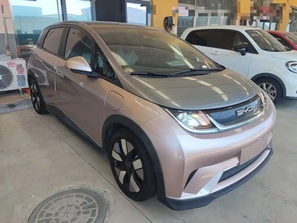 Фото 4 - BYD Dolphin