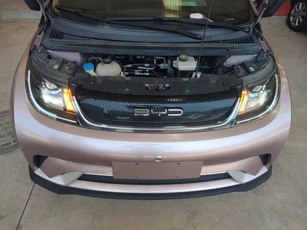 Фото 20 - BYD Dolphin
