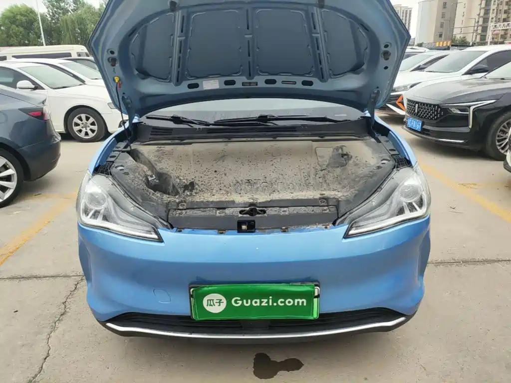 Nezha Auto Nezha V 2022 2022 Trend 300 Lite LFP