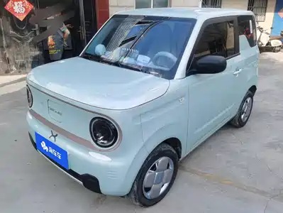 Geely Panda