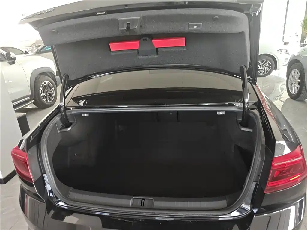 Volkswagen Magotan 2020 330TSI DSG Luxury фото 7