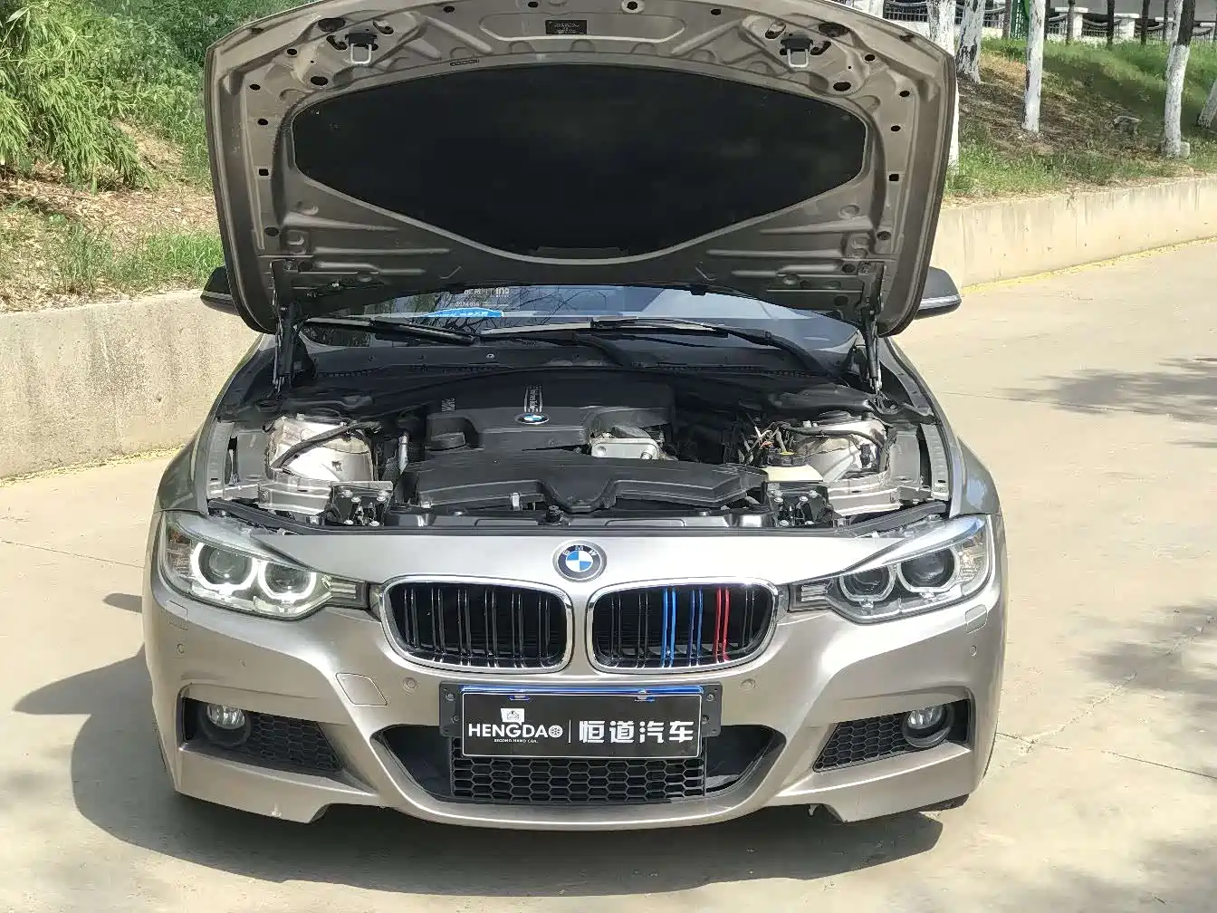 BMW 3 Series 2014 320Li Style Design Package фото 17