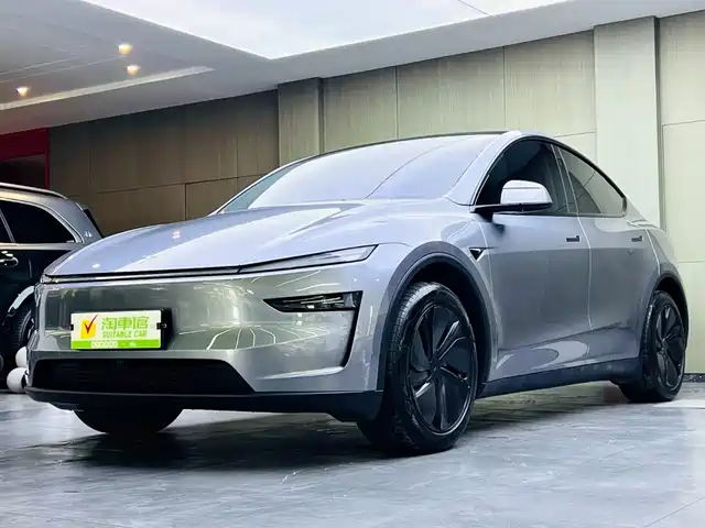 Tesla Model Y Задний привод