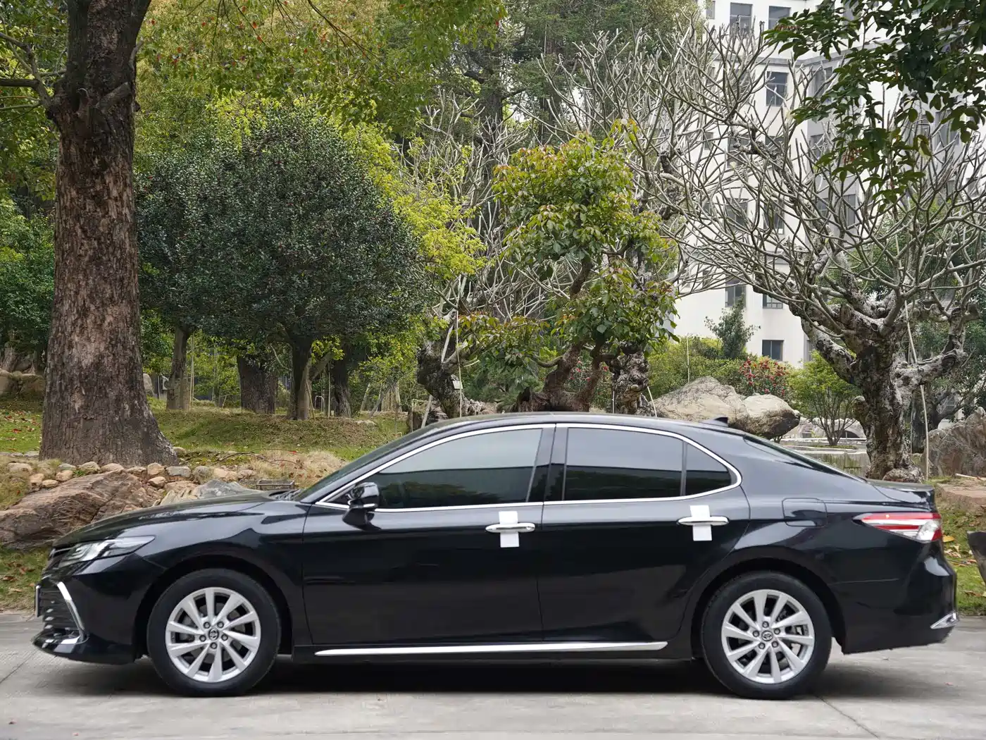 Toyota Camry 2023 2.0G Luxury Edition фото 6