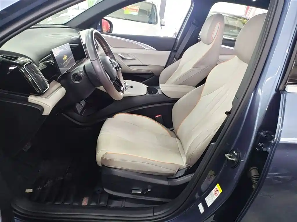 BYD Song Pro New Energy 2023 Champion Edition DM-i 71KM Leading Type фото 15
