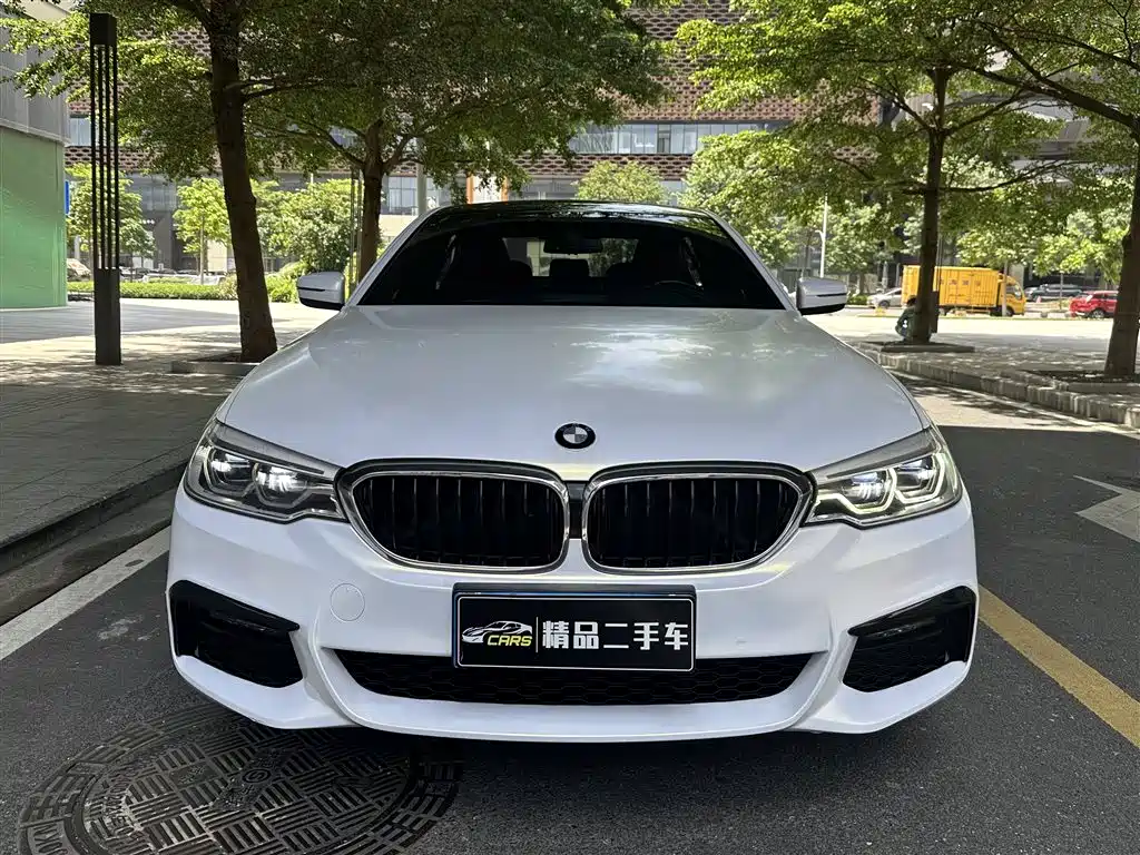 BMW 5 Series 2019 530Li Leading M Sport Package фото 2