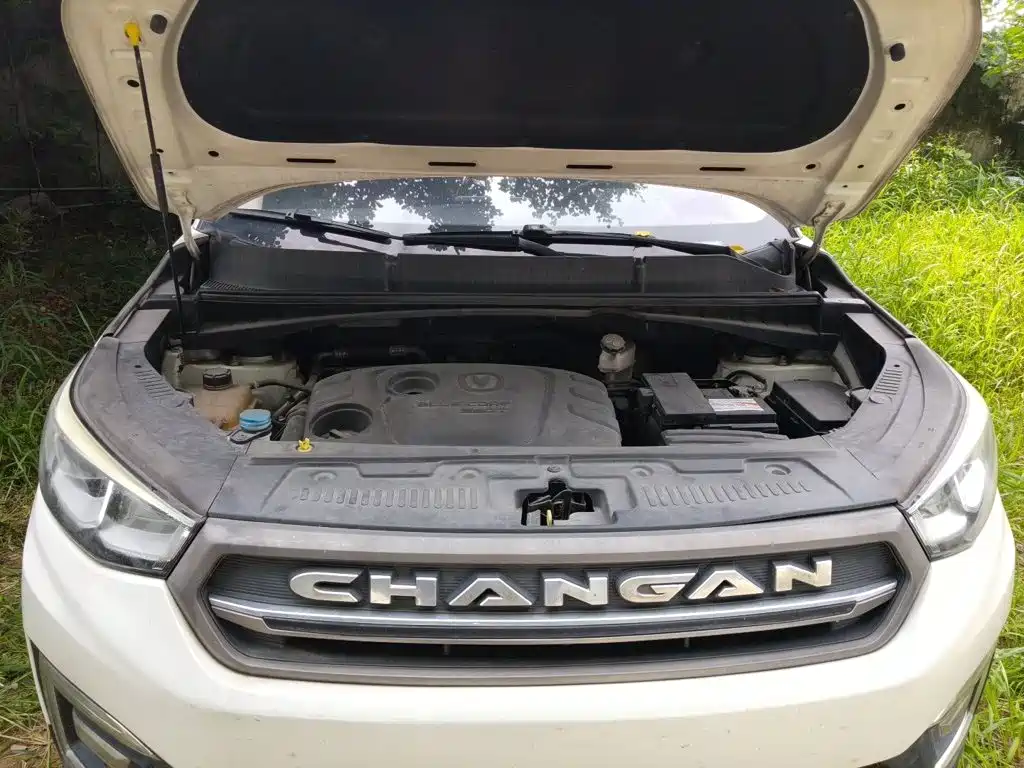 Changan CS55 2018 2017 1.5T Automatic Colorful Edition