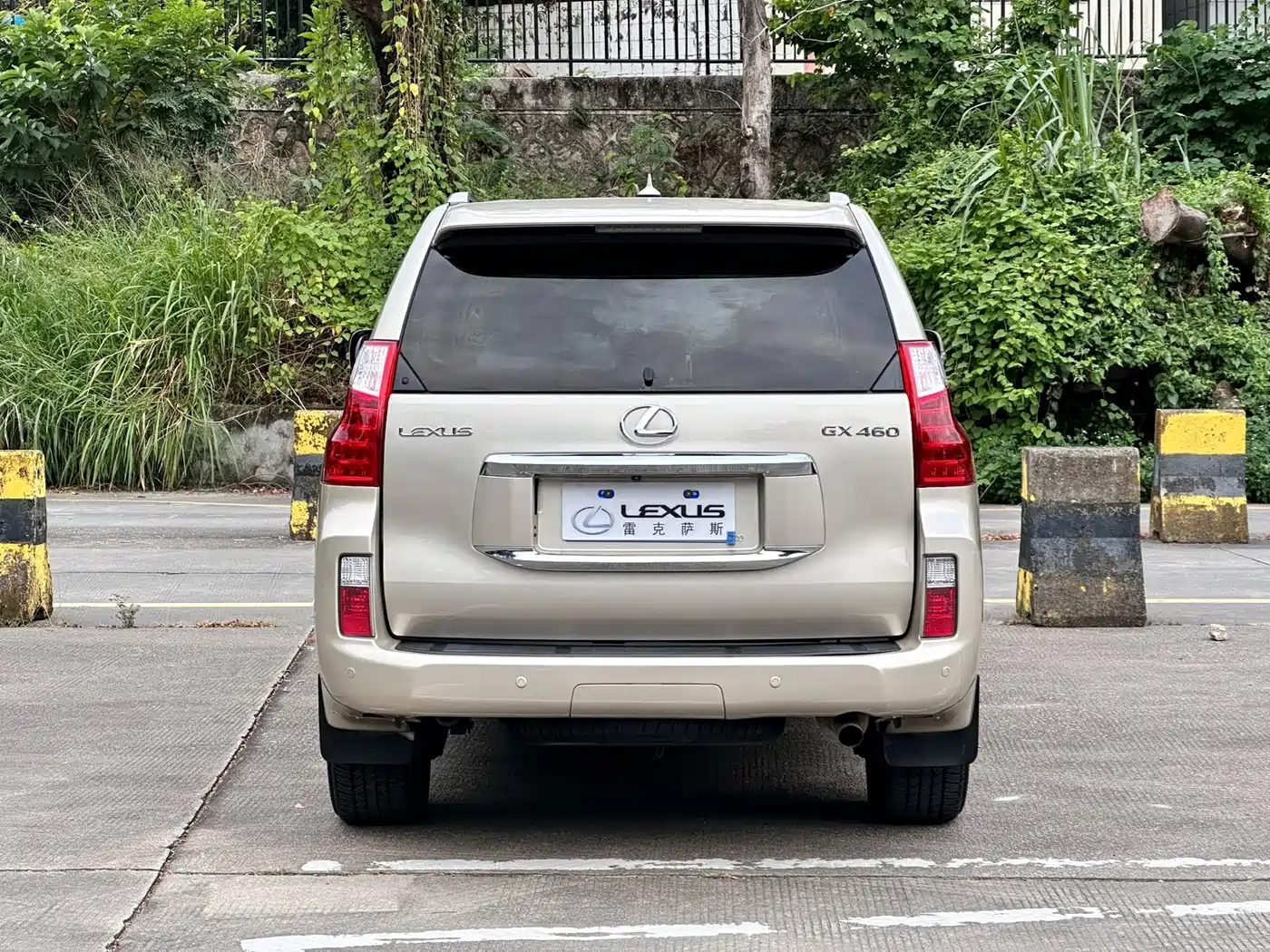 Lexus GX 2011 2010 460