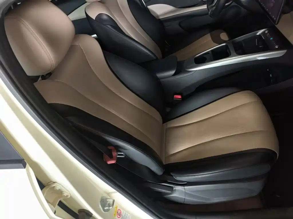 BYD Dolphin 2025 2025 Smart Drive Edition 420km Freedom Version