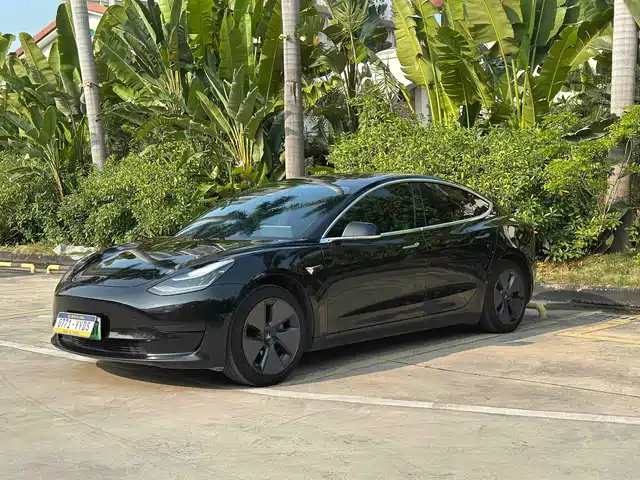 Tesla Model 3 2019 Standard Range Rear-Wheel Drive Upgrade