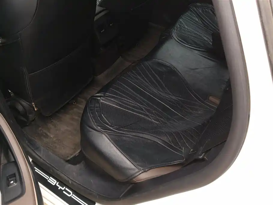 BYD Qin PLUS 2024 Glory Edition DM-i 55KM Leading фото 11